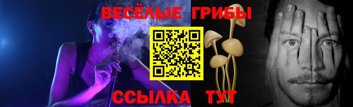 Протвино  Псилоцибиновые грибы Magic Shrooms  Вход с VPN 